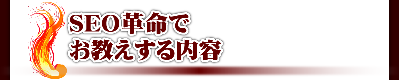 SEO�v���ł�����������e