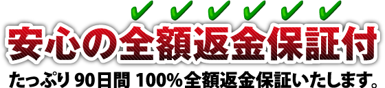 �ԋ��ۏ�